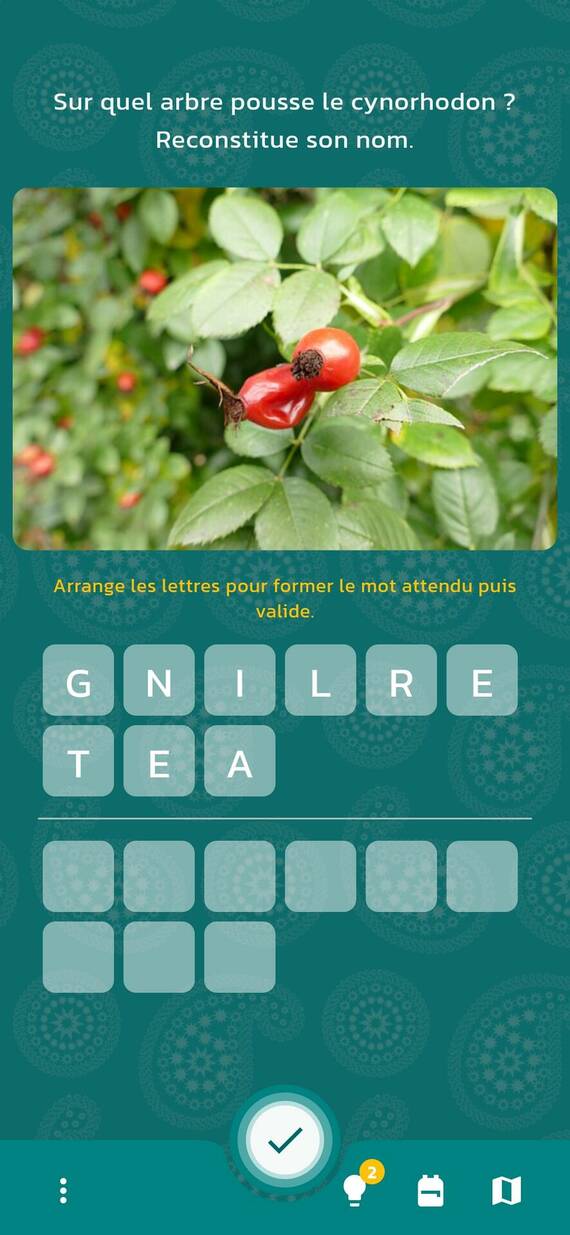 Extrait du jeu